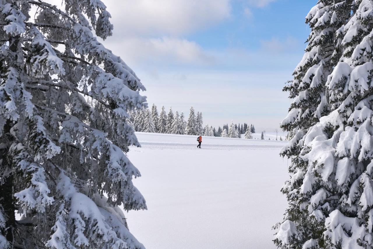Rogla - Rogla Hotel 3*