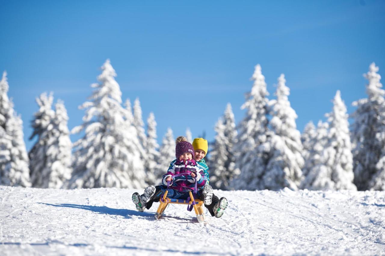Rogla - Rogla Hotel 3*